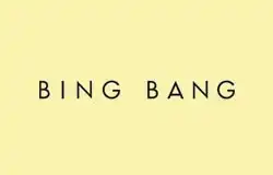 Bing Bang Nyc